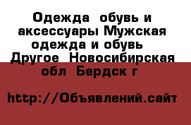 Одежда, обувь и аксессуары Мужская одежда и обувь - Другое. Новосибирская обл.,Бердск г.